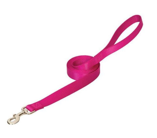 Prism Choice Leash - 3/4" Wide