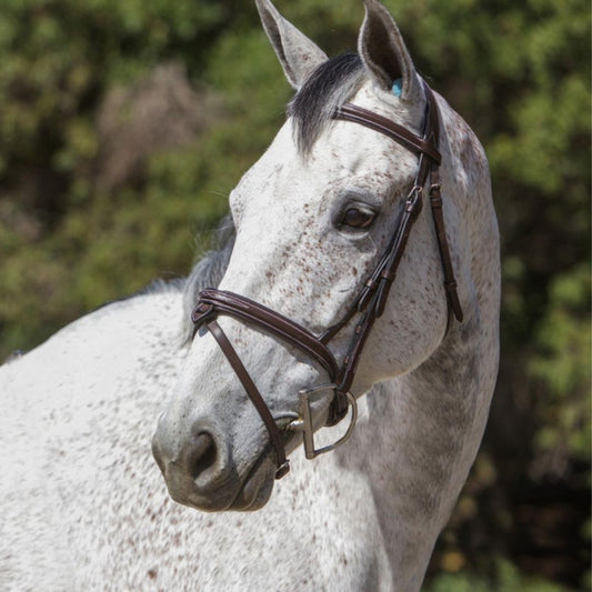 ExionPro Designer Stitched Mono Crown Piece Snaffle Bridle With Rubber Reins