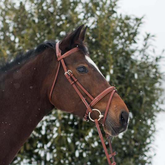 ExionPro Pressure Relief Crown Raised Padded Jumping Bridle with Reins