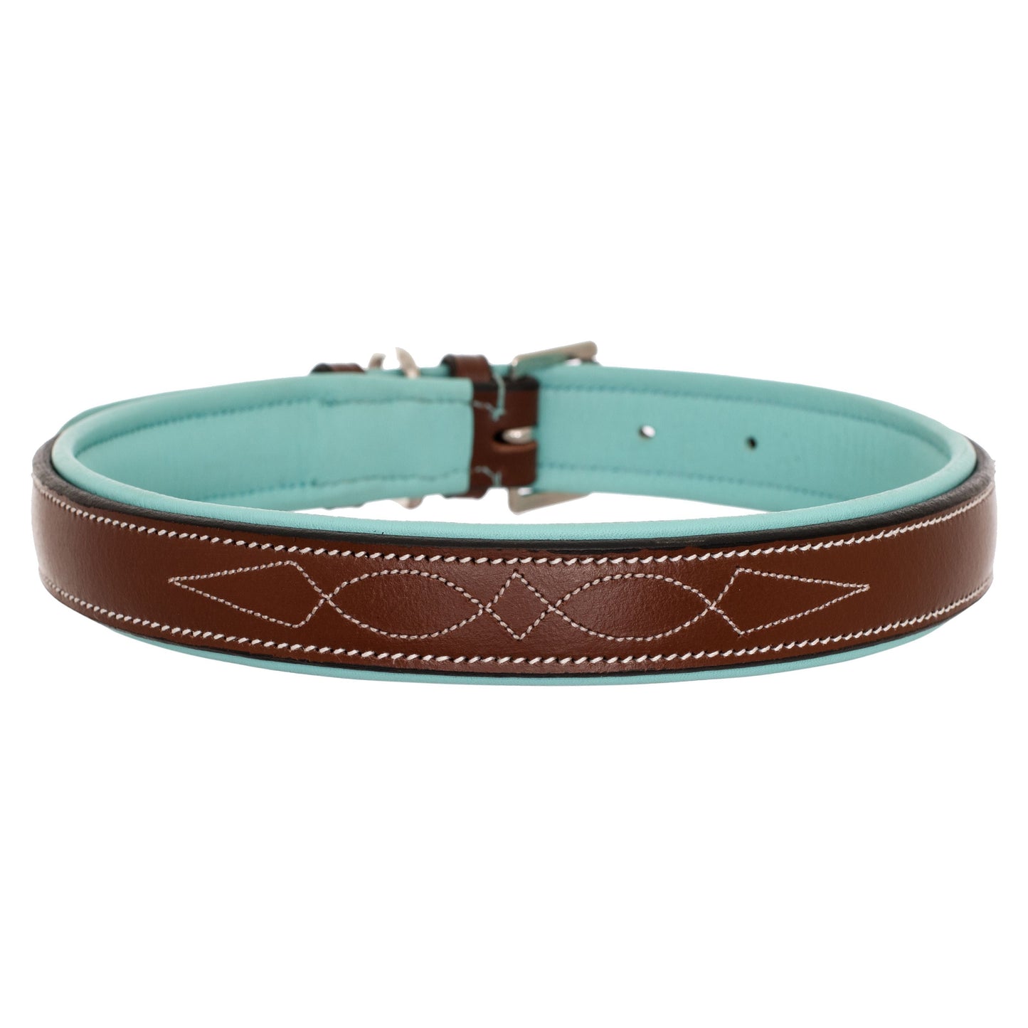 ExionPro Fancy Stitched Padded Leather Dog Collar - Sky Blue Padding