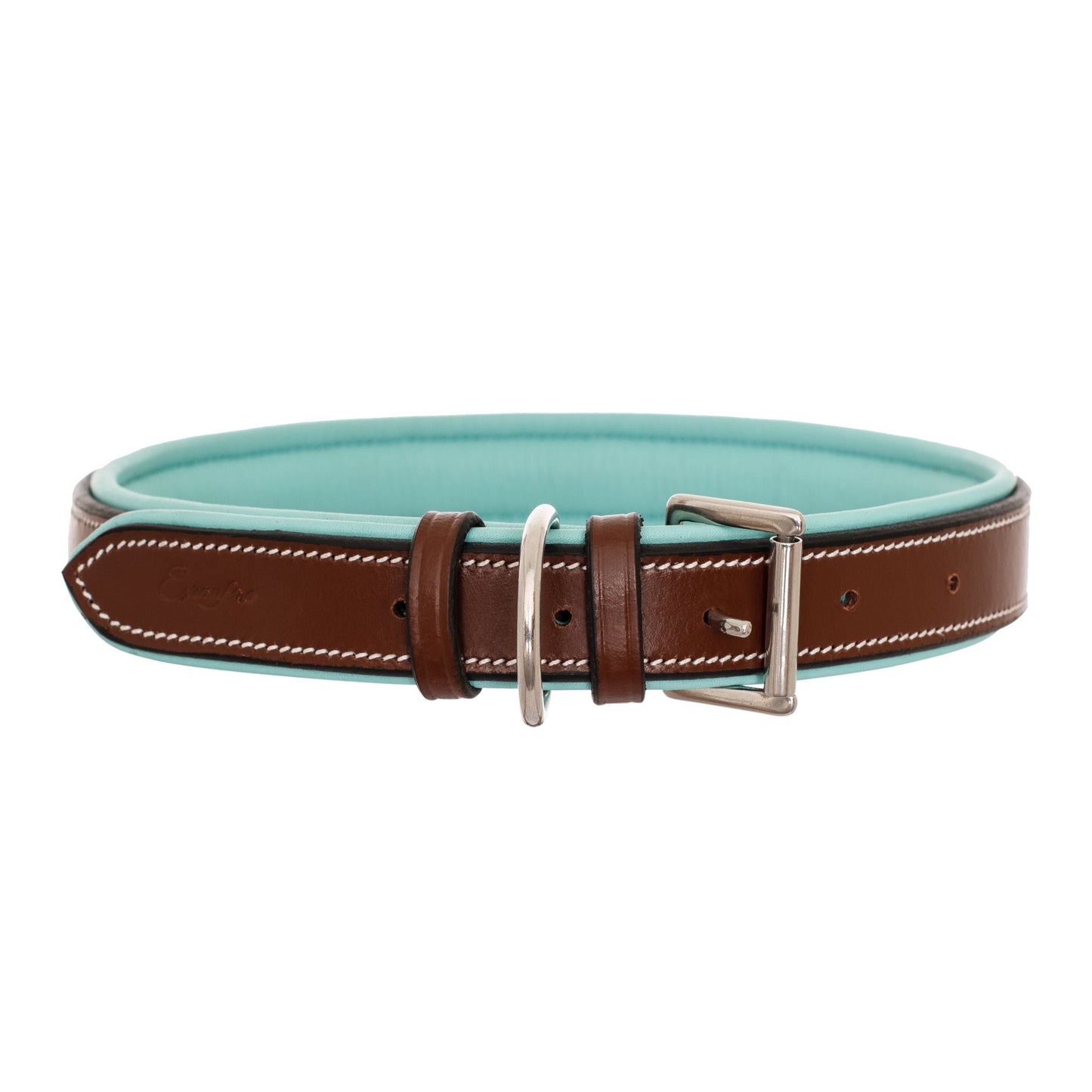 ExionPro Fancy Stitched Padded Leather Dog Collar - Sky Blue Padding