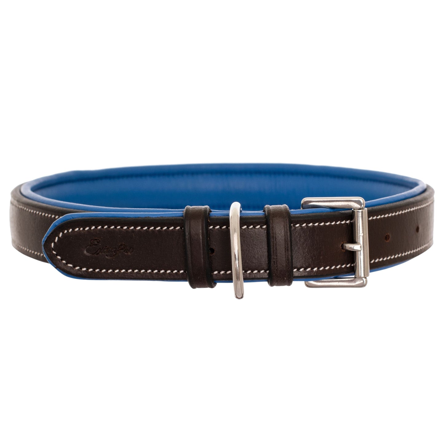 ExionPro Silver Snaffle Padded Leather Dog Collar - Blue Padding