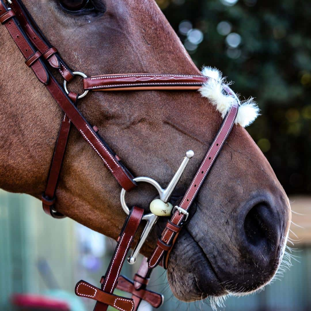 ExionPro Monocrown Crown Piece Adjustable Designer Figure 8 Bridle with Reins