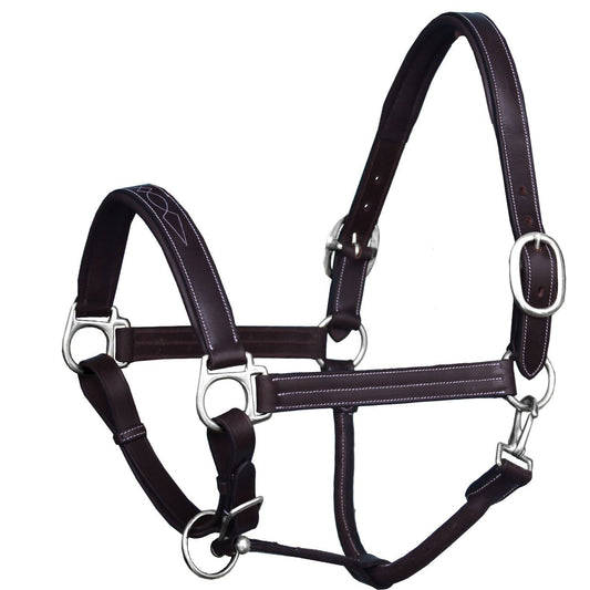 ExionPro Triple Stitched Leather Halter - Brass Nickel Hardware