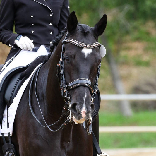 Aurelia Rose Gold Black Patent Double Bridle