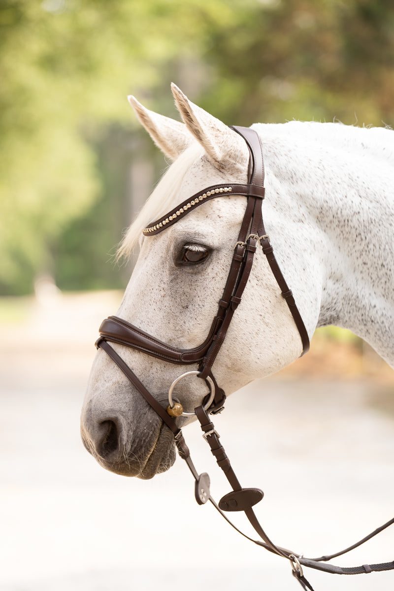 Hidden Flash!  Pro-Fit Comfortable Bridle in Havana Brown or Black with Flash Noseband and Clincher Browband