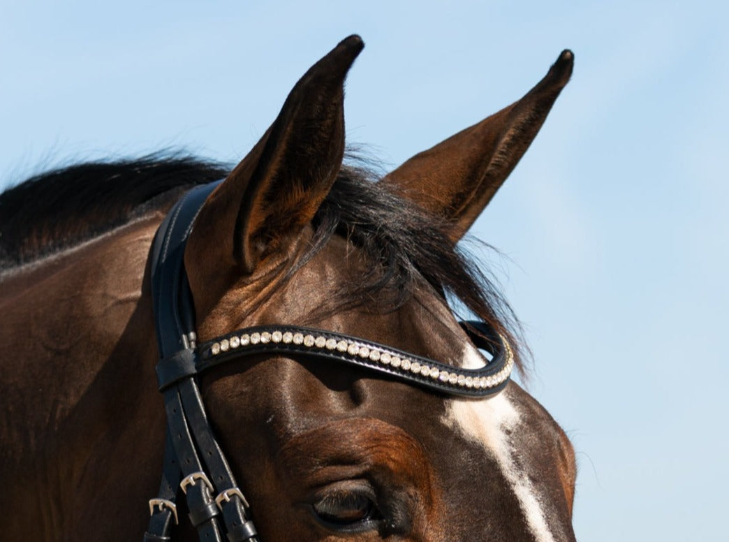 Hidden Flash!  Pro-fit Comfortable Bridle with Patent Noseband and Crystal Browband