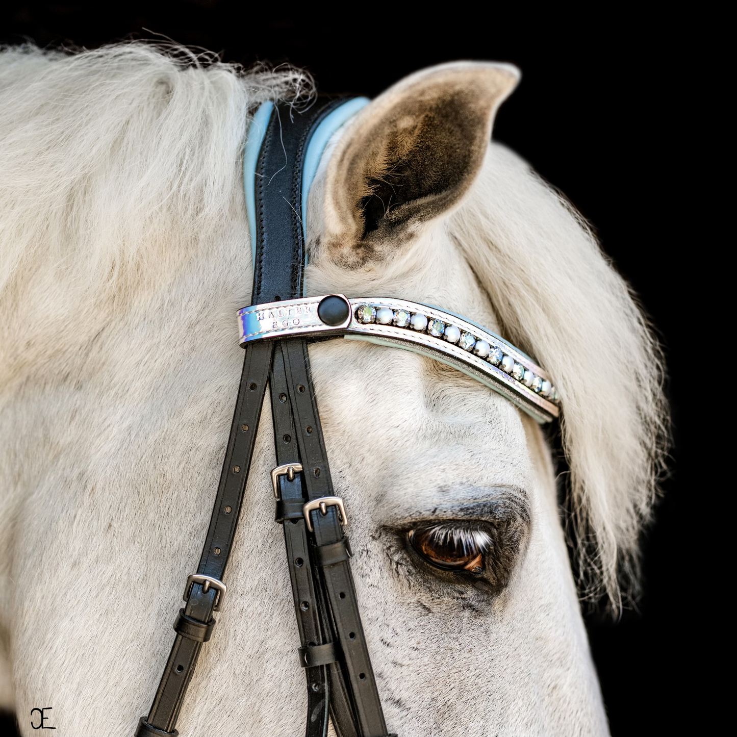 Elsa Neon Patent Snaffle Bridle