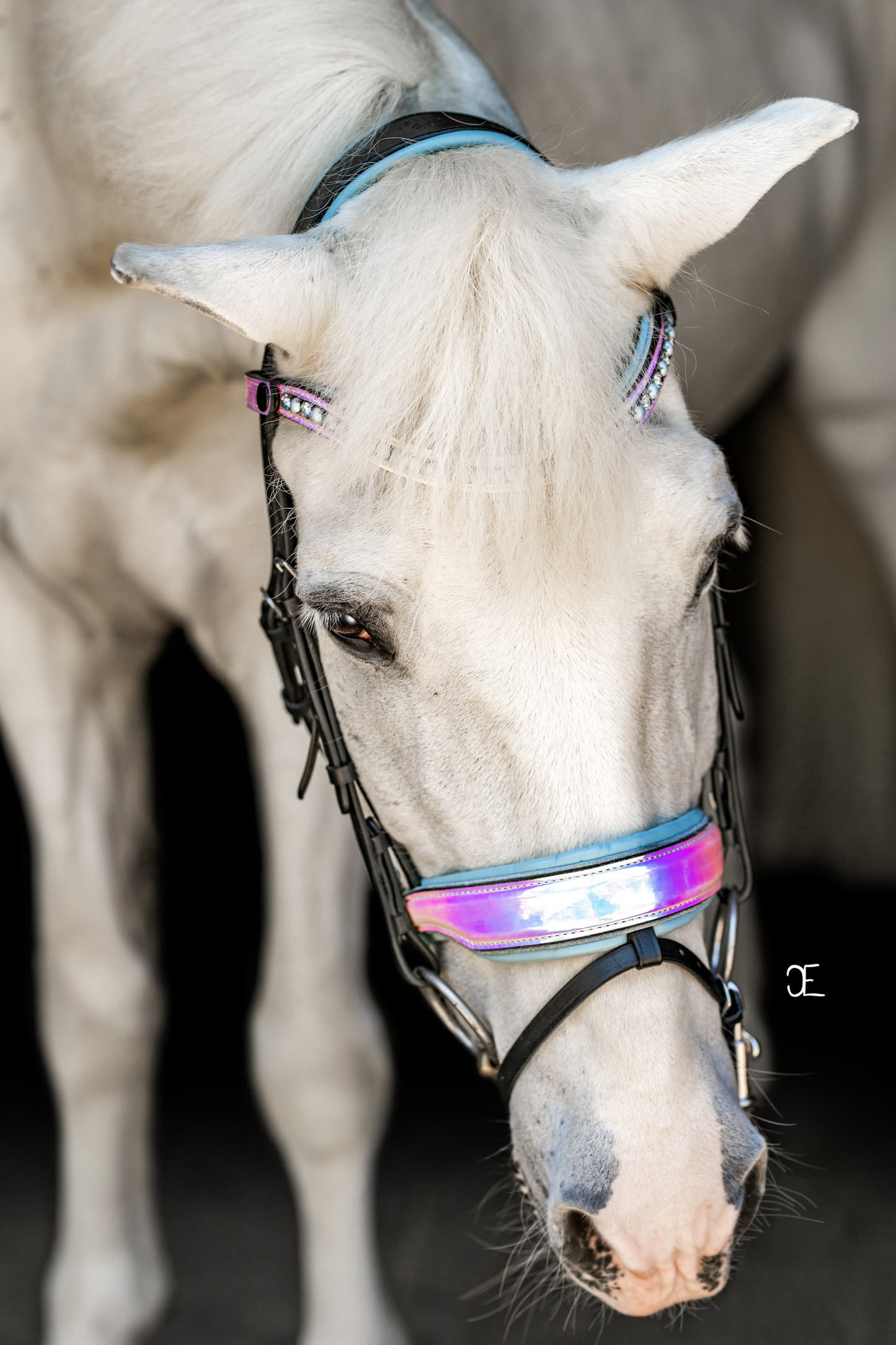 Elsa Neon Patent Snaffle Bridle