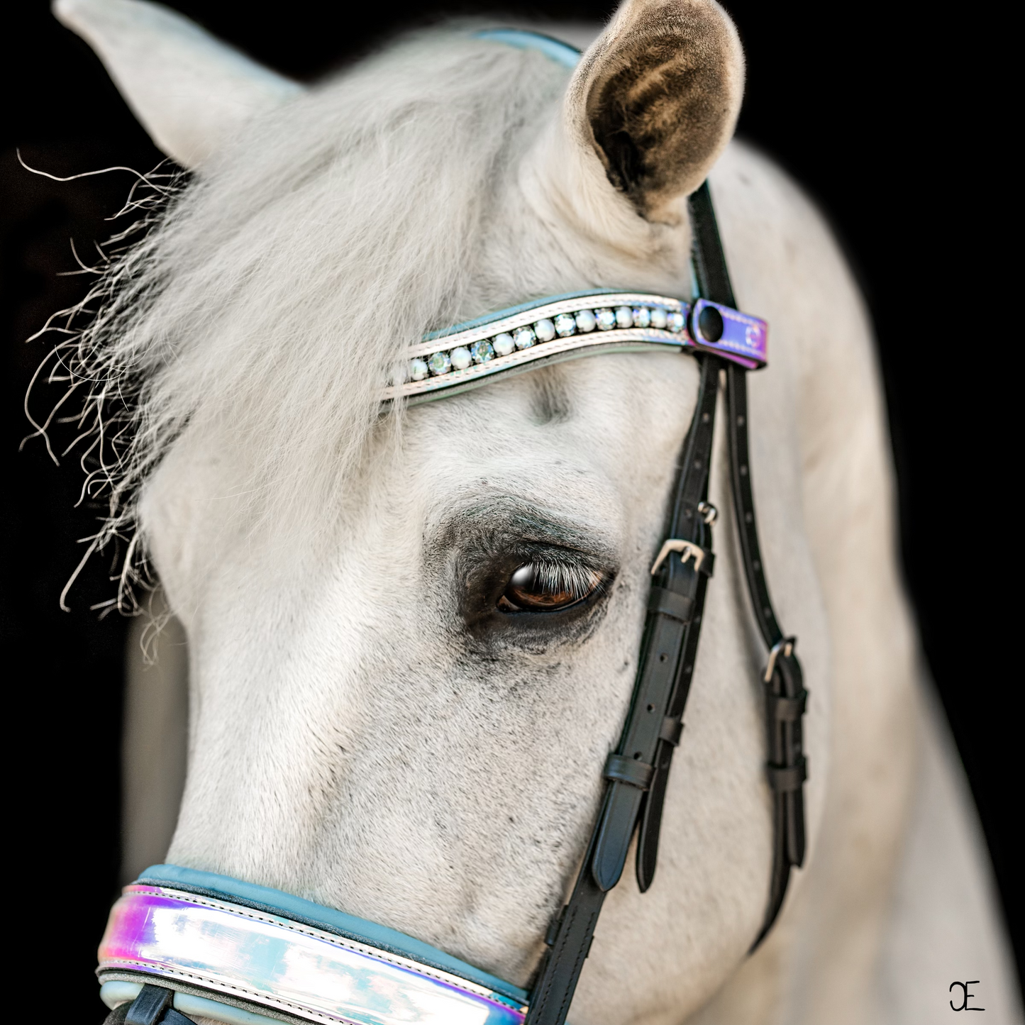 Elsa Neon Patent Snaffle Bridle