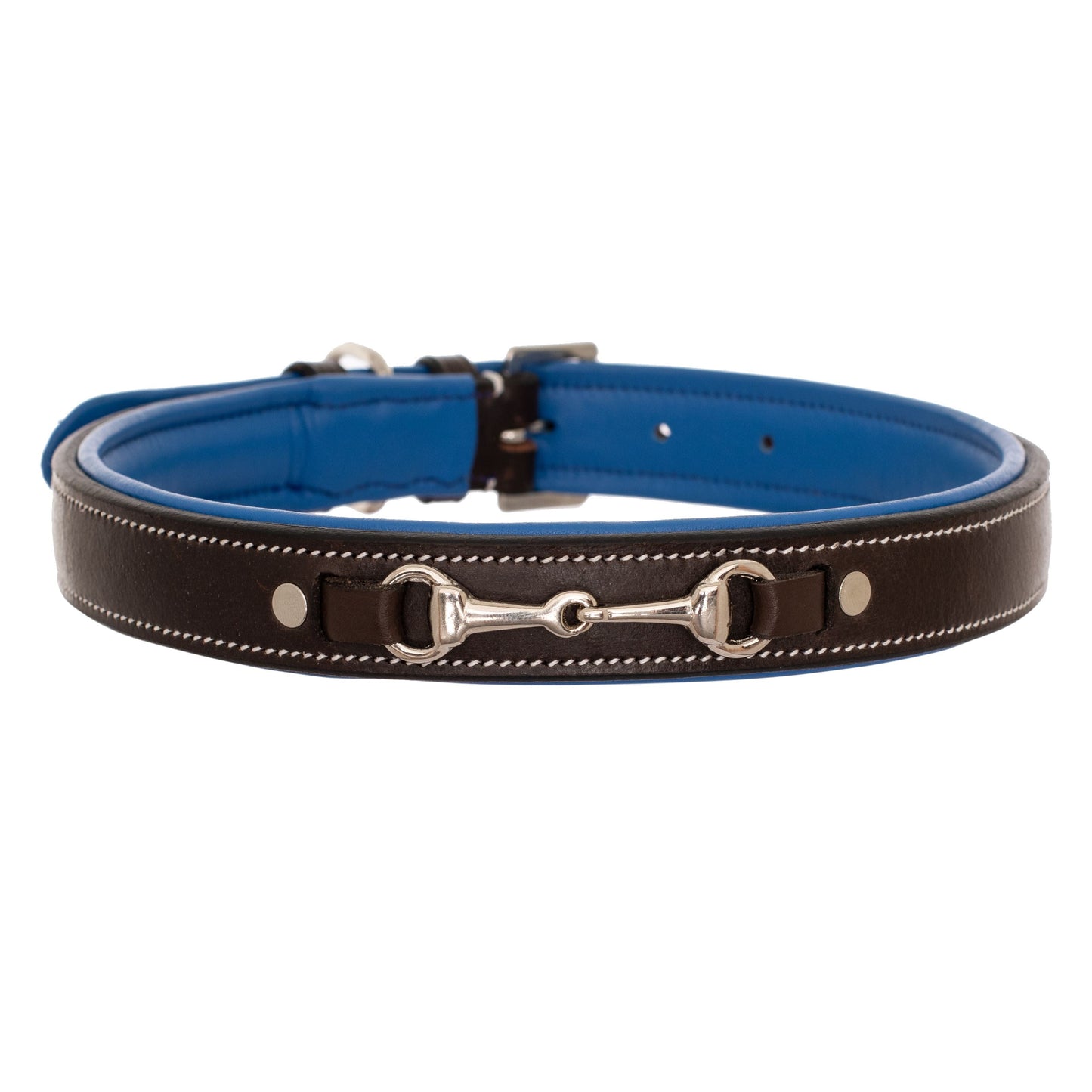 ExionPro Silver Snaffle Padded Leather Dog Collar - Blue Padding