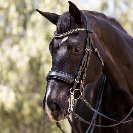 Birmingham - Non-Patent Black Leather Double Bridle