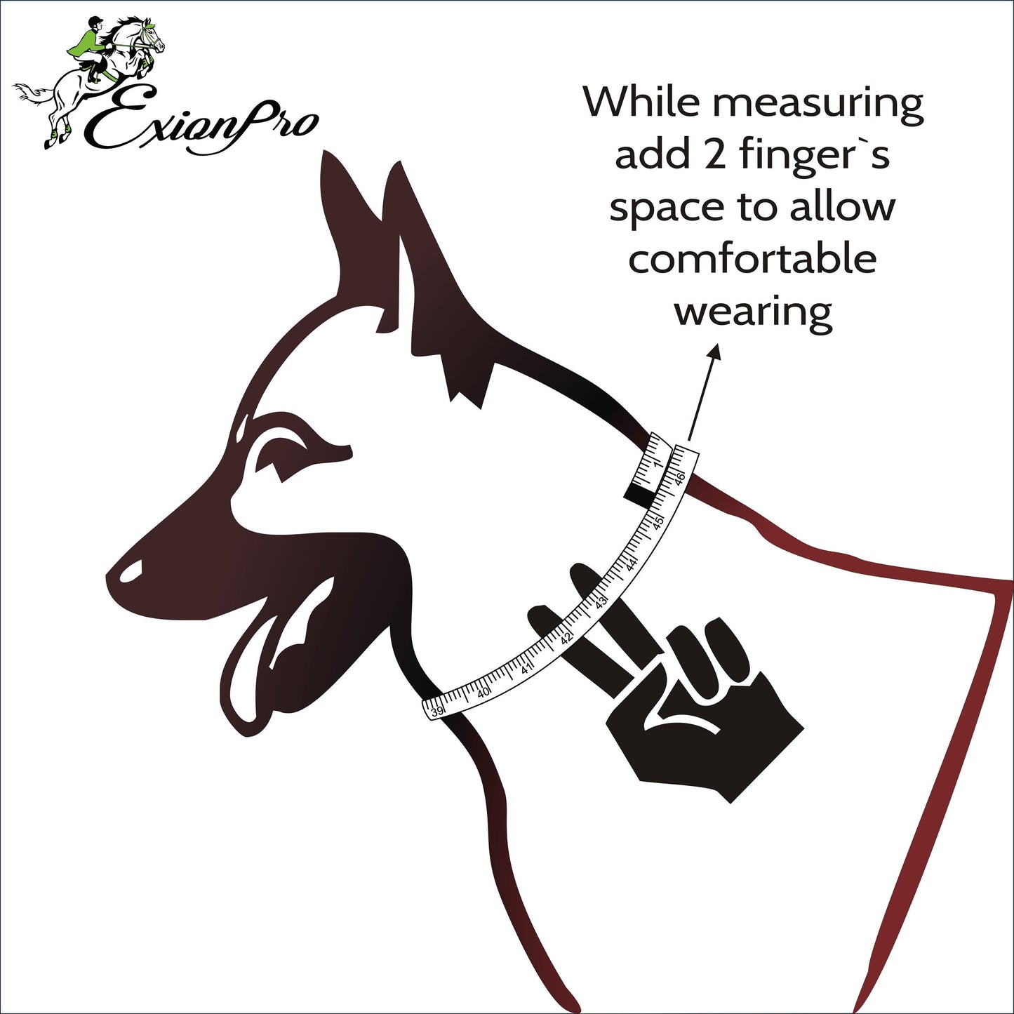 ExionPro Red Bling Padded Dog Collar With Dog Leash