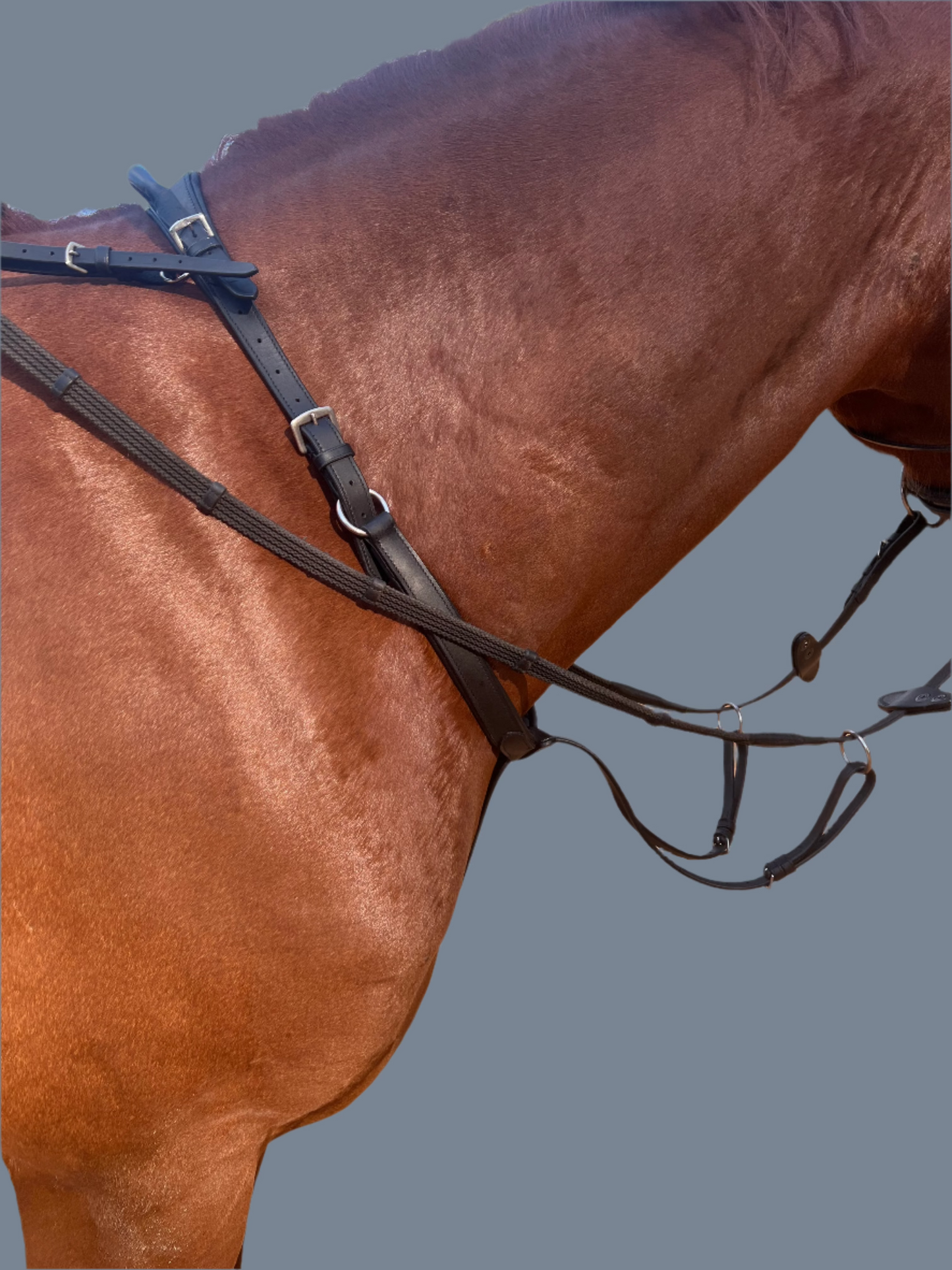 Running Martingale Add-On for Double Neck Strap