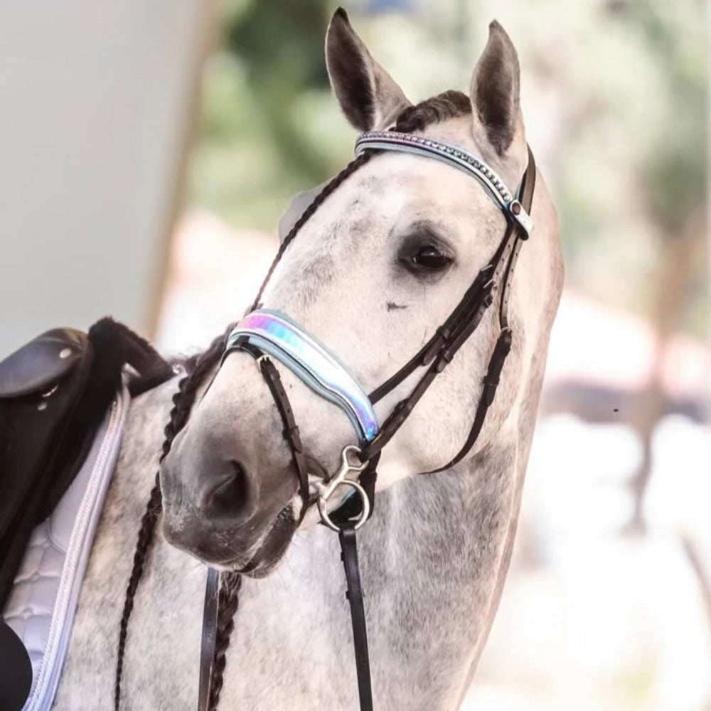 Elsa Neon Patent Snaffle Bridle