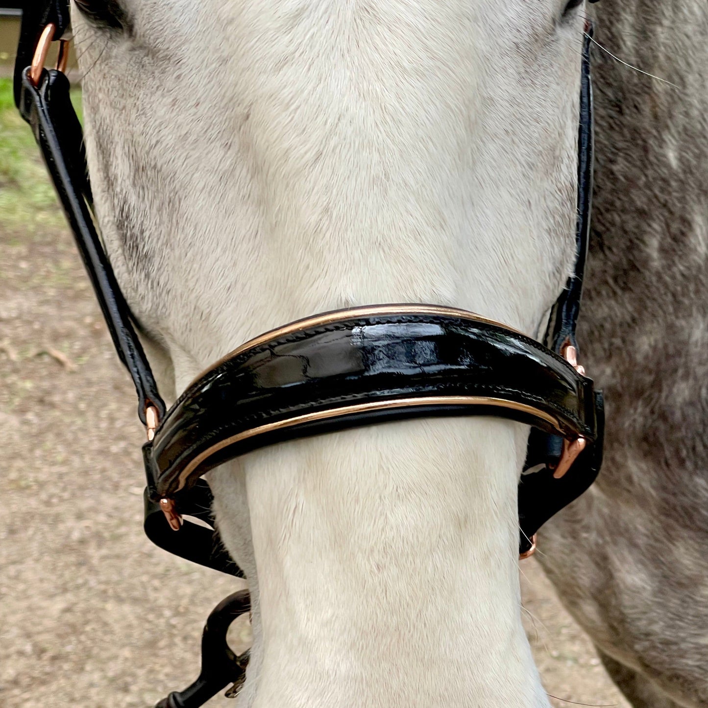 Aurelia - Black Patent Conical Padded Halter with Rose Gold Piping