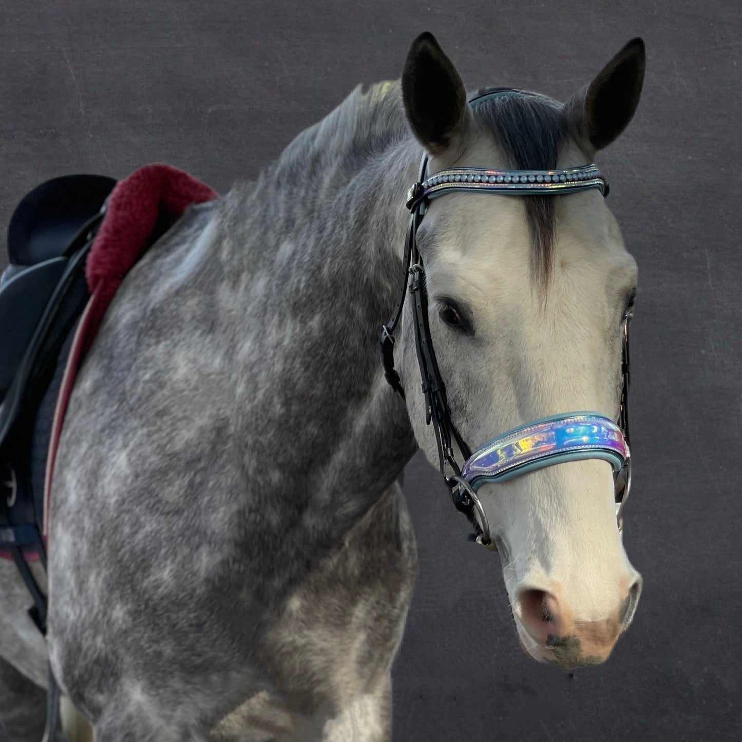 Elsa Neon Patent Snaffle Bridle