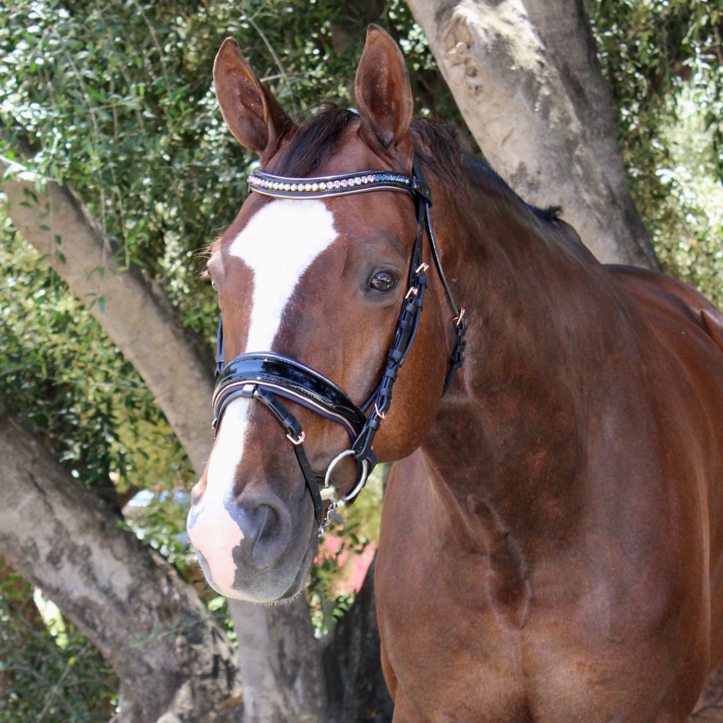 Duchess Black Patent Leather Snaffle Bridle