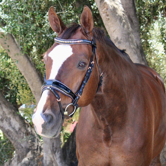 Duchess Black Patent Leather Snaffle Bridle