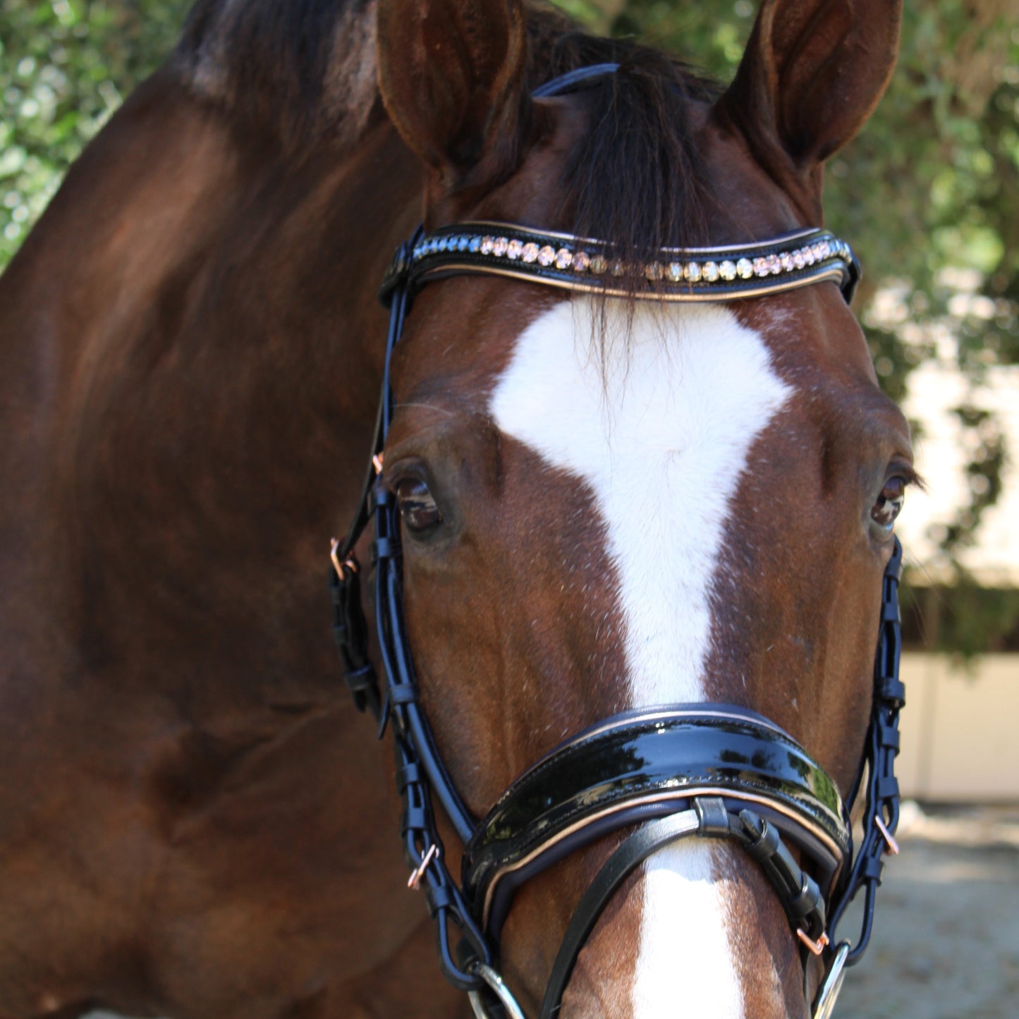 Duchess Black Patent Leather Snaffle Bridle