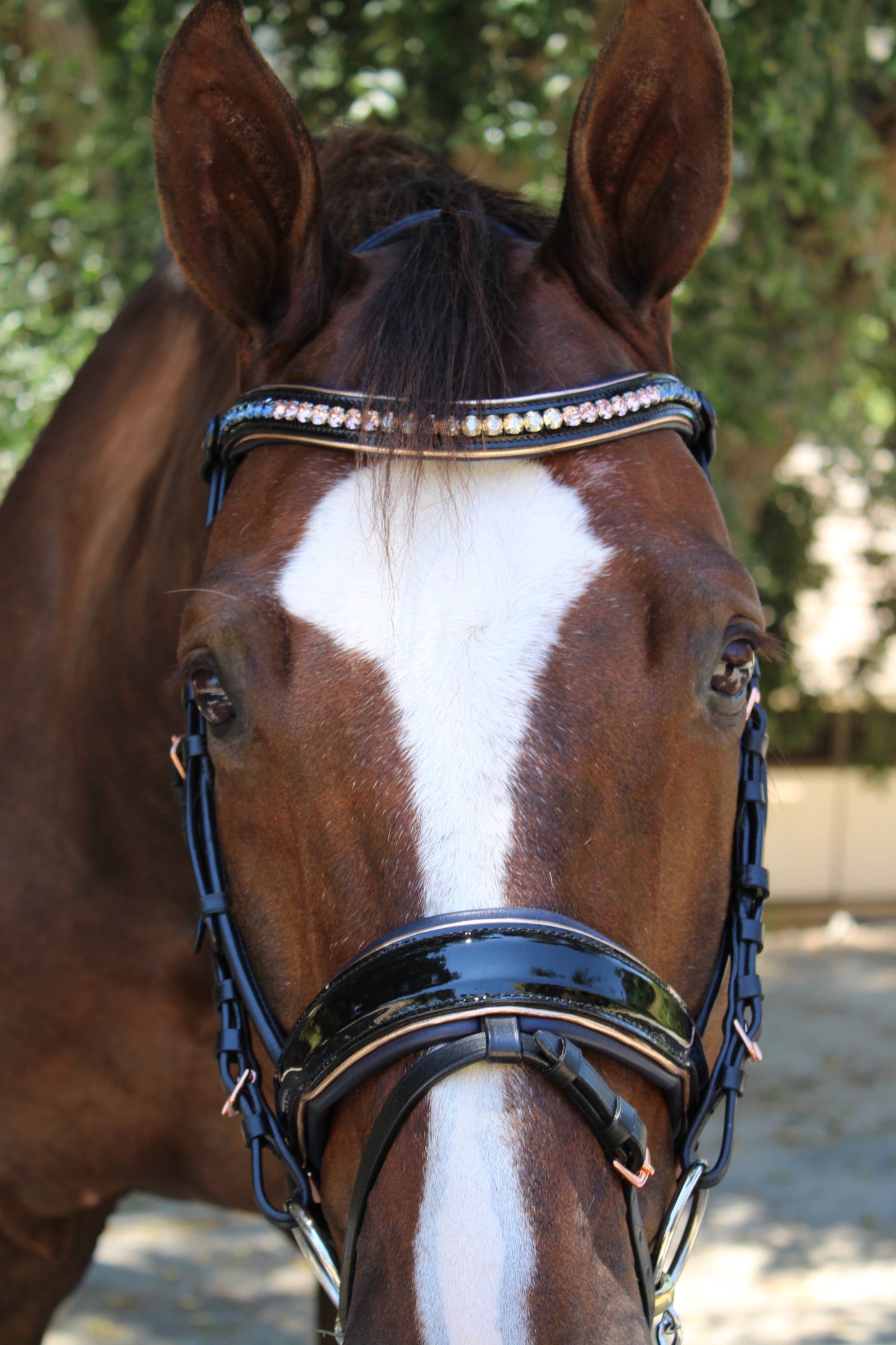 Duchess Black Patent Leather Snaffle Bridle