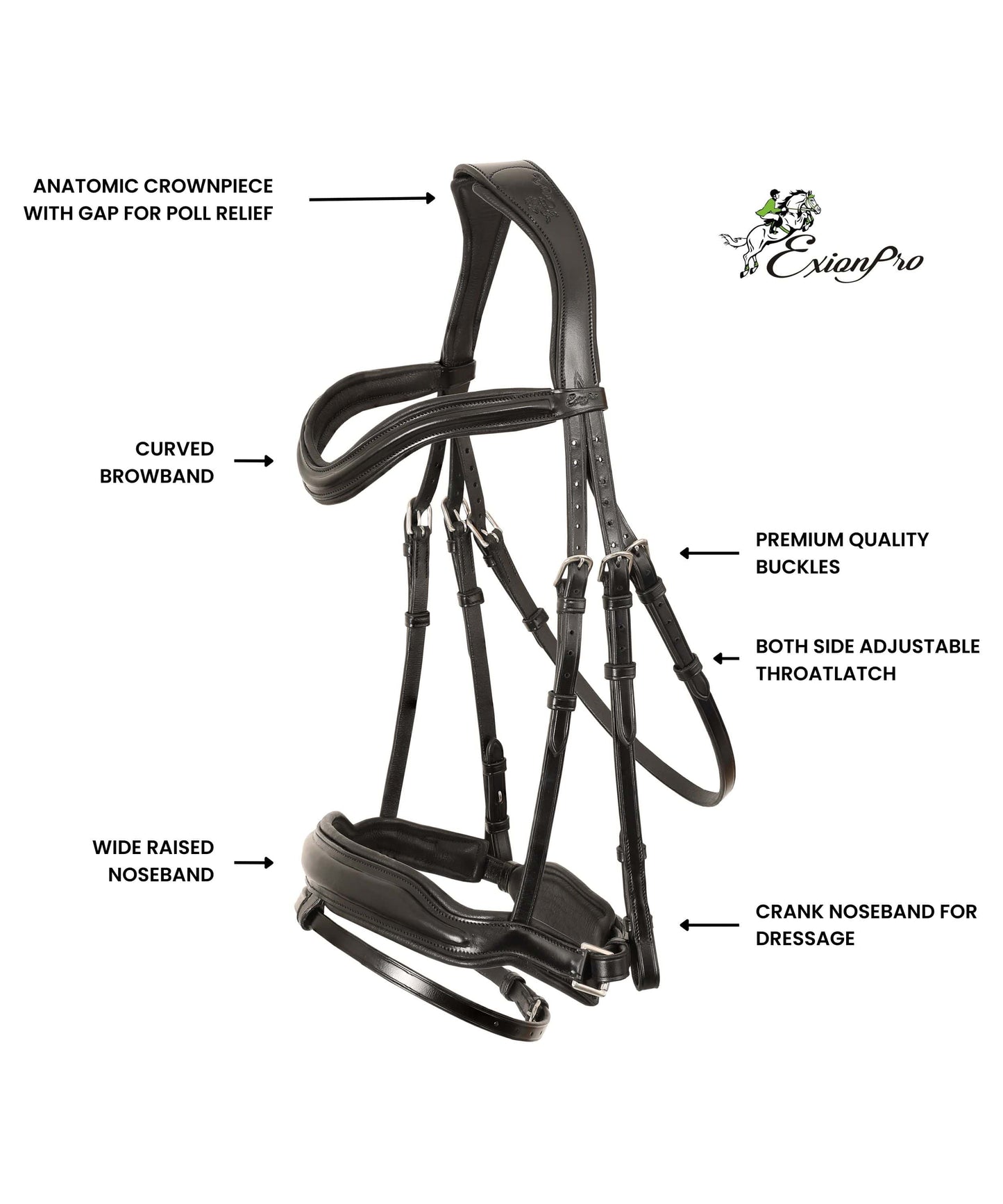 ExionPro 'Leo' Classic Dressage Bridle with Reins