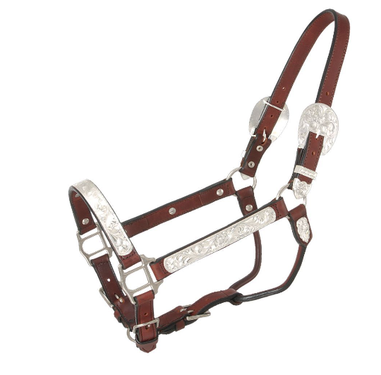 Silver Royal Silver Bright Cut Edge Show Halter