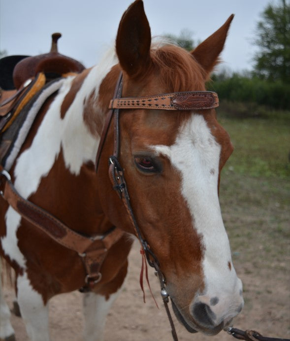 3800-AO 3" Breast collar rough out toast leather with oak leaf tooled patch, buckstitch, and double tugs