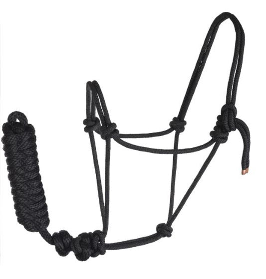 Rope Halter with Lead by Reinsman