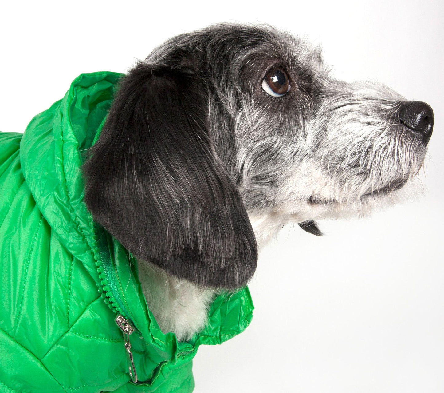 Lightweight Adjustable 'Sporty Avalanche' Pet Coat