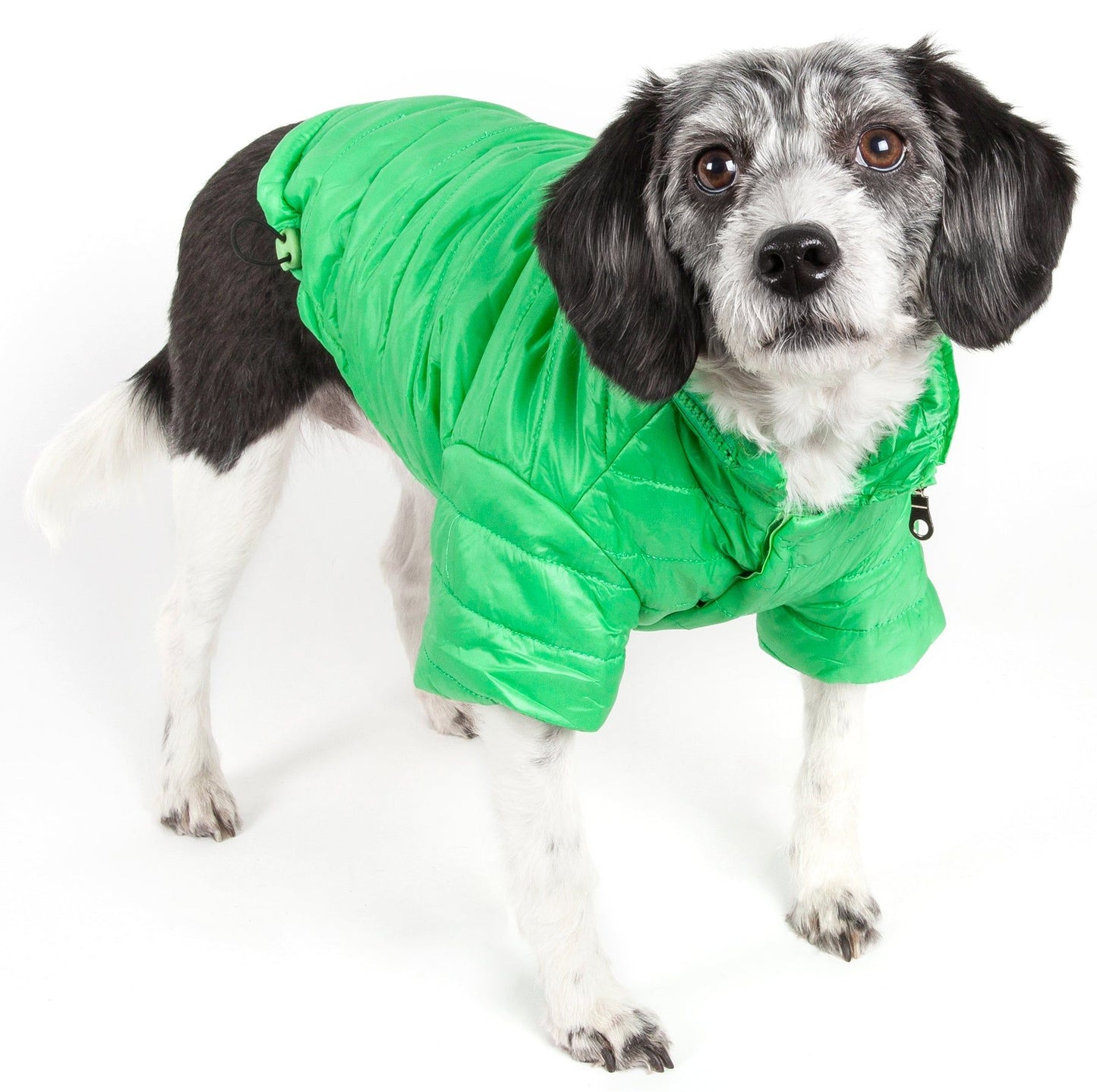 Lightweight Adjustable 'Sporty Avalanche' Pet Coat