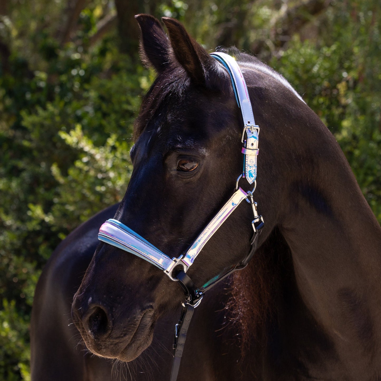 Elsa - Neon Blue with Blue Glitter Piping Halter